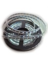 Tira de leds digital RGBW 12v 60 leds 60 pixels metro 5m